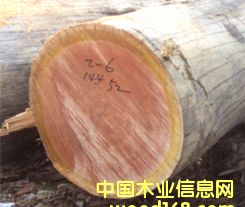 ɽ����Ԕ����B