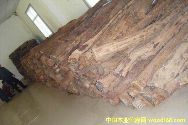 Խ���S����ľ��Ԕ��(x��)��B