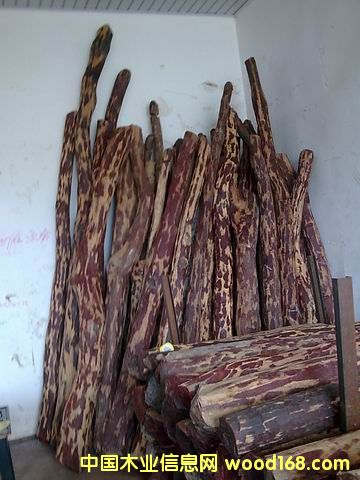 ӡ��С�~��̴ľ��Ԕ��(x��)��B