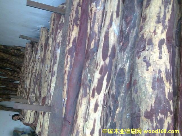 ӡ��С�~��̴ľ��Ԕ��(x��)��B