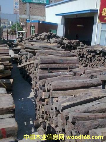 �ϓ��t��֦ľ��Ԕ��(x��)��B