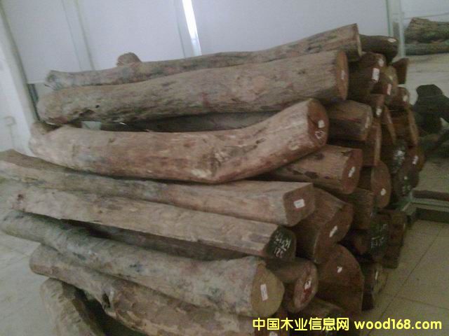 Խ���S����ľ��Ԕ��(x��)��B