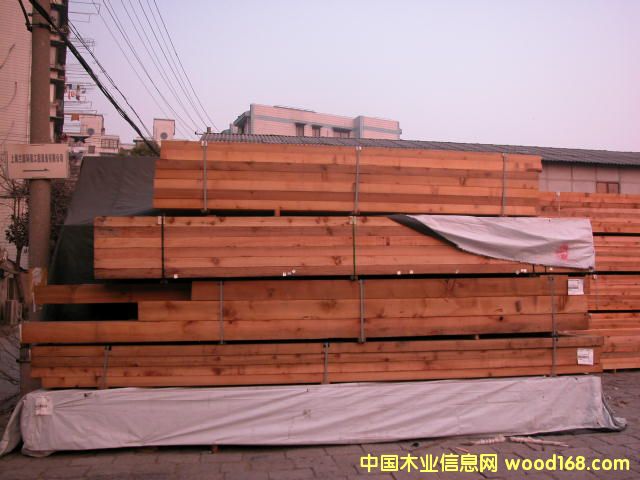 �tѩ�ɵ�Ԕ��(x��)��B