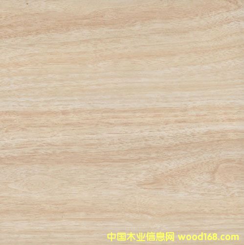 9606��Ԕ��(x��)��B