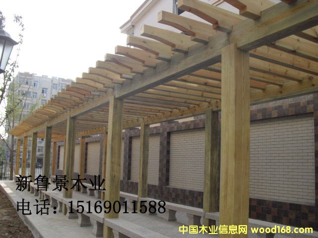 ���Ϸ���ľ����