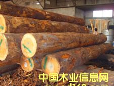 �����ɵ�Ԕ����B