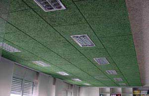 ������Ȼ��ľ�z������01