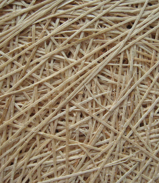 ������Ȼ��ľ�z������