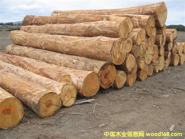 ����tԭľ��Ԕ����B