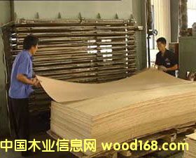 ��Ƥ��Ԕ��(x��)��B