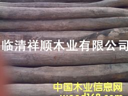 ����ľ����Ԕ��(x��)��B