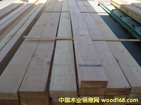 ����SPF��Ԕ��(x��)��B