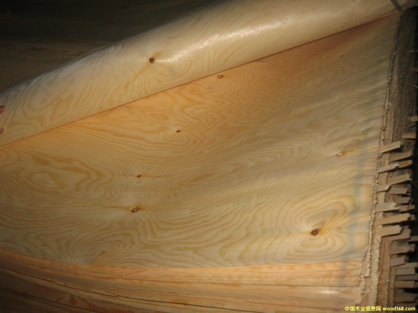 ��ľƤ��Ԕ��(x��)��B