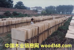 ��ľ����Ƥ��Ԕ��(x��)��B