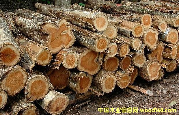 ��ľԭľ��Ԕ��(x��)��B