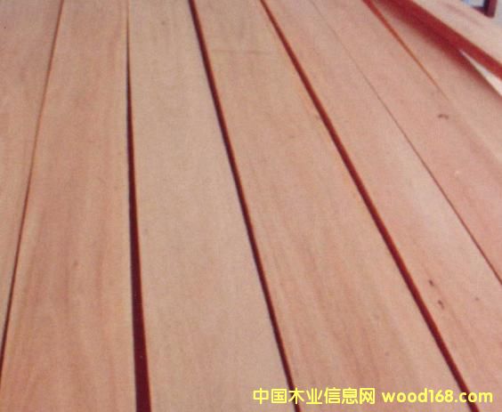 FSC���(sh��)��Ԕ��(x��)��B