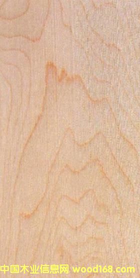 FSCӲ����Ԕ��(x��)��B