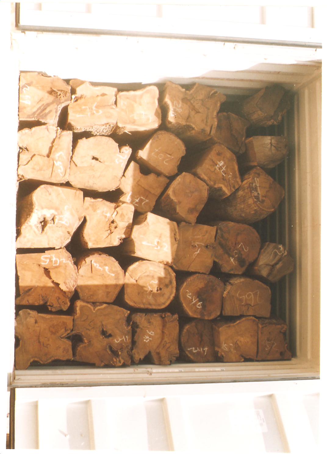 ���ǁ������Ԕ��(x��)��B