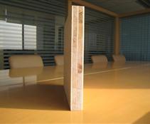 �����ƺ�о��(sh��)ľ�T�塢�T�װ�ϵ�е�Ԕ��(x��)��B