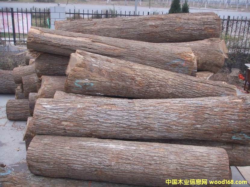 ����ɽ����ԭľ��Ԕ��(x��)��B