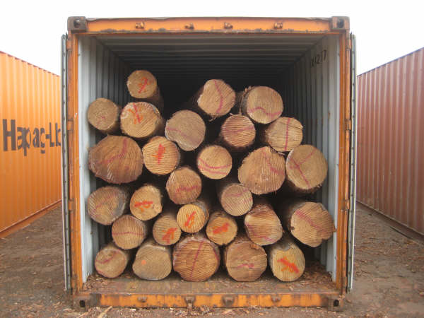 ݗ����ԭľ��Ԕ��(x��)��B