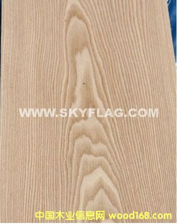 ����(y��ng)ľƤ��΢��ľ���ΰ�