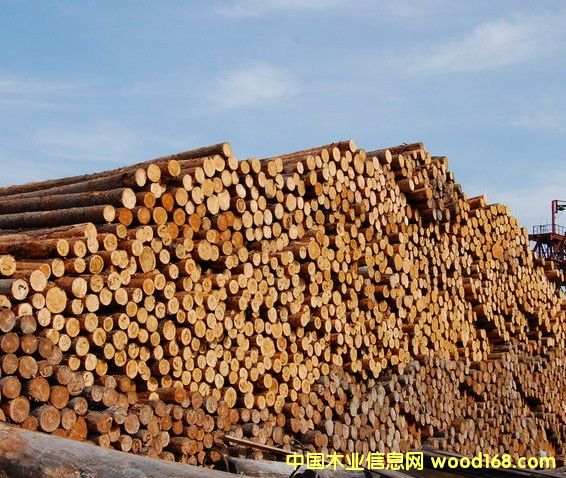 ���_˹ԭľ�����~�����ɵȣ�