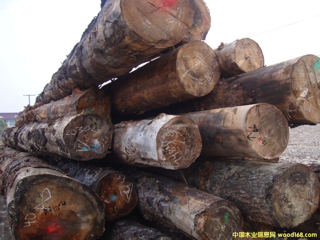 ���l(f��)���M(j��n)����ɼ���Fɼ