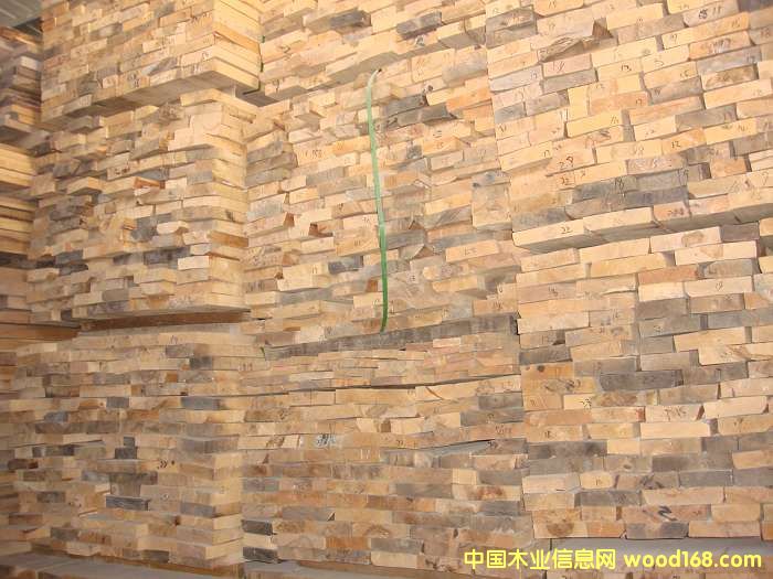 ��ľ��Ԕ����B