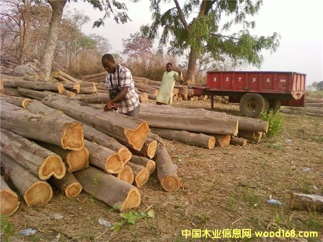 ���޼Ӽ{��ľ��teaks����Ԕ��(x��)��B