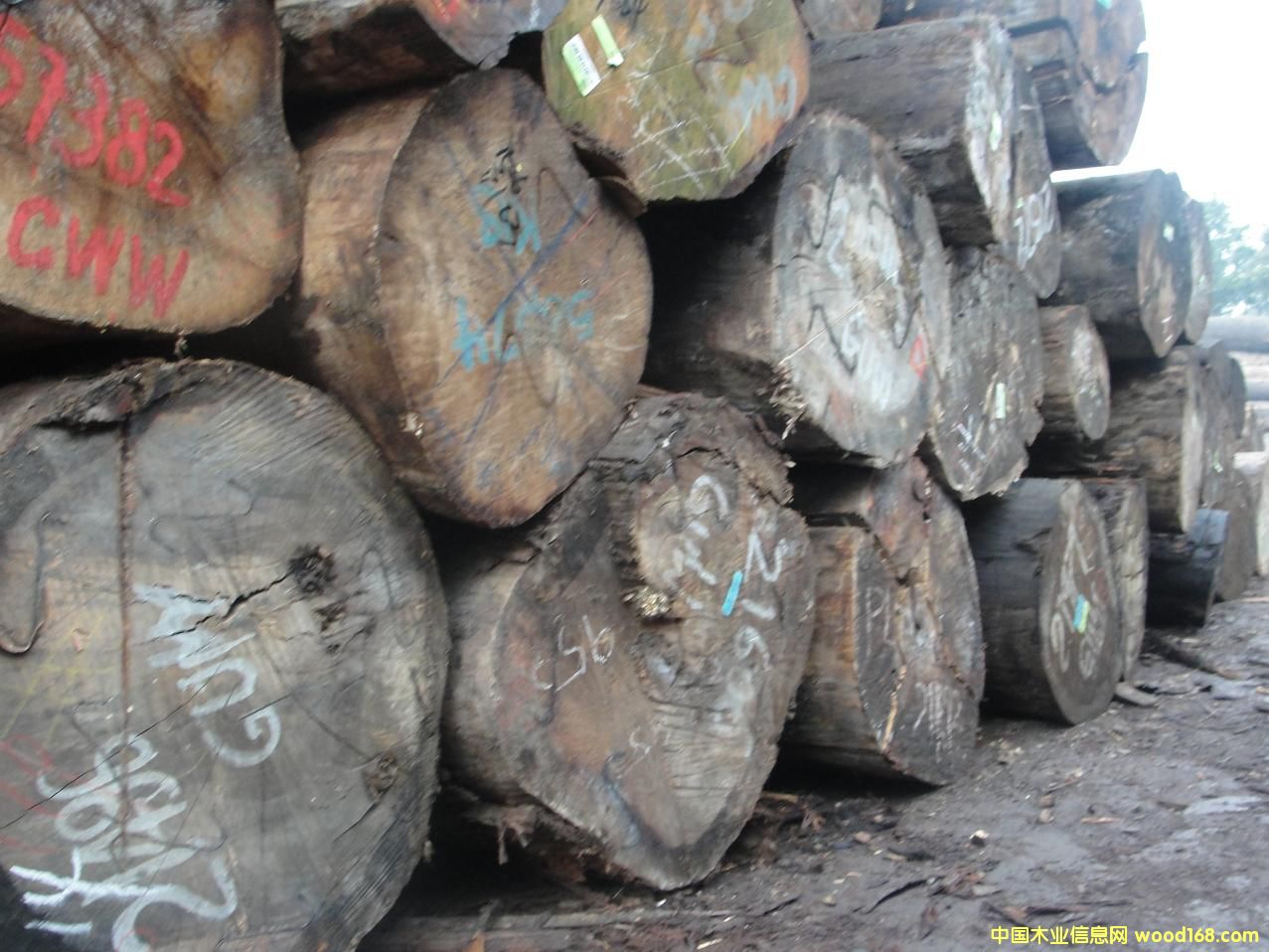 ˮ�zľ��Ԕ����B