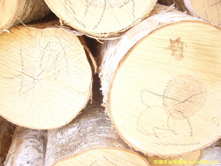 ���_˹�ט�ԭľ�����ģ���Ԕ��(x��)��B