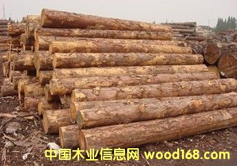 ����(y��ng)���_˹�M(j��n)�����~��