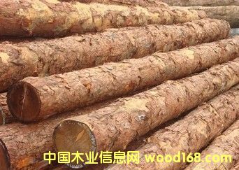 ����˹����ɼ�Fɼ