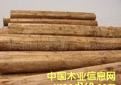 ���ô���ľ��Ԕ��(x��)��B