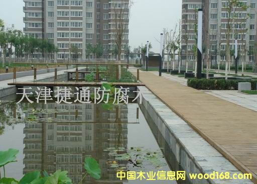 ���^����ľ��Ԕ����B