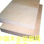 ��ľ�z�ϰ��Ԕ��(x��)��B