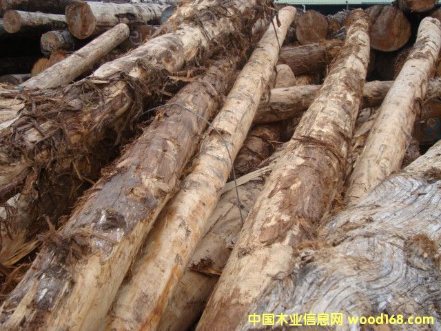 �S�uԭľ(���)��Ԕ��(x��)��B