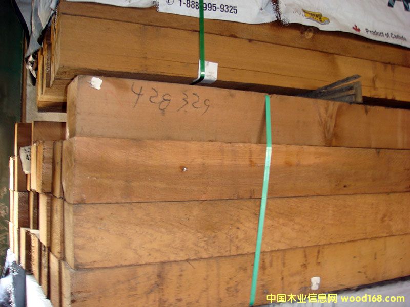 �tѩ�ɵ�Ԕ����B