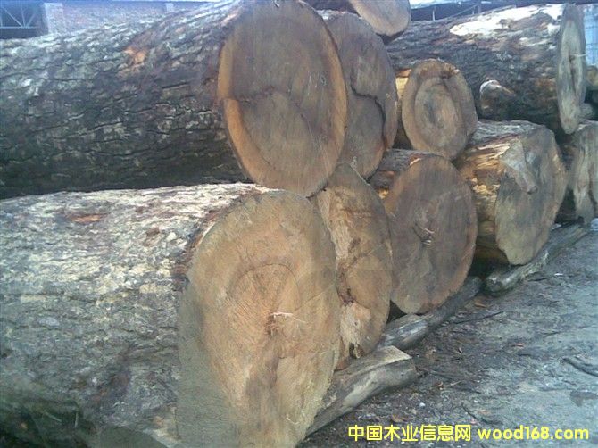 ��ľ��Ԕ����B