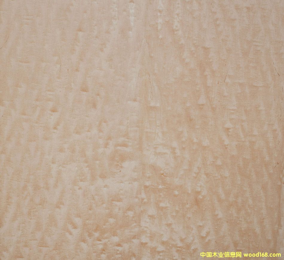 ��������Ԕ��(x��)��B