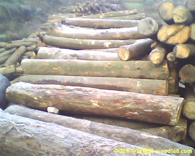 �ӹ��S������Ԕ��(x��)��B