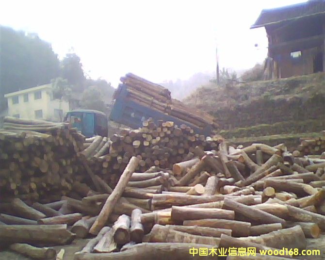 �ӹ��S������Ԕ��(x��)��B