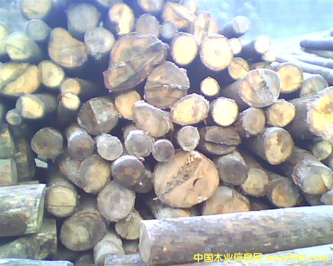 �ӹ��S������Ԕ��(x��)��B