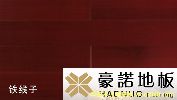 ���Z�ذ� �F���ӵ�Ԕ��(x��)��B