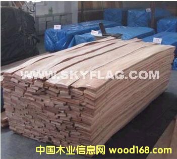 ����-0.6���Ϙ�