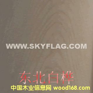 �|���ט��Ԕ��(x��)��B