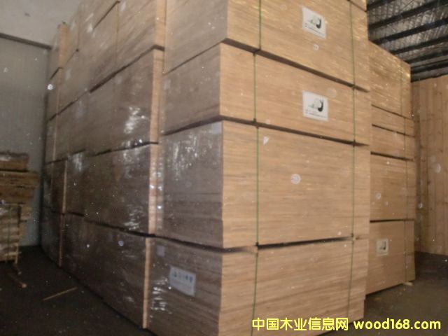 �����m��ƴ��