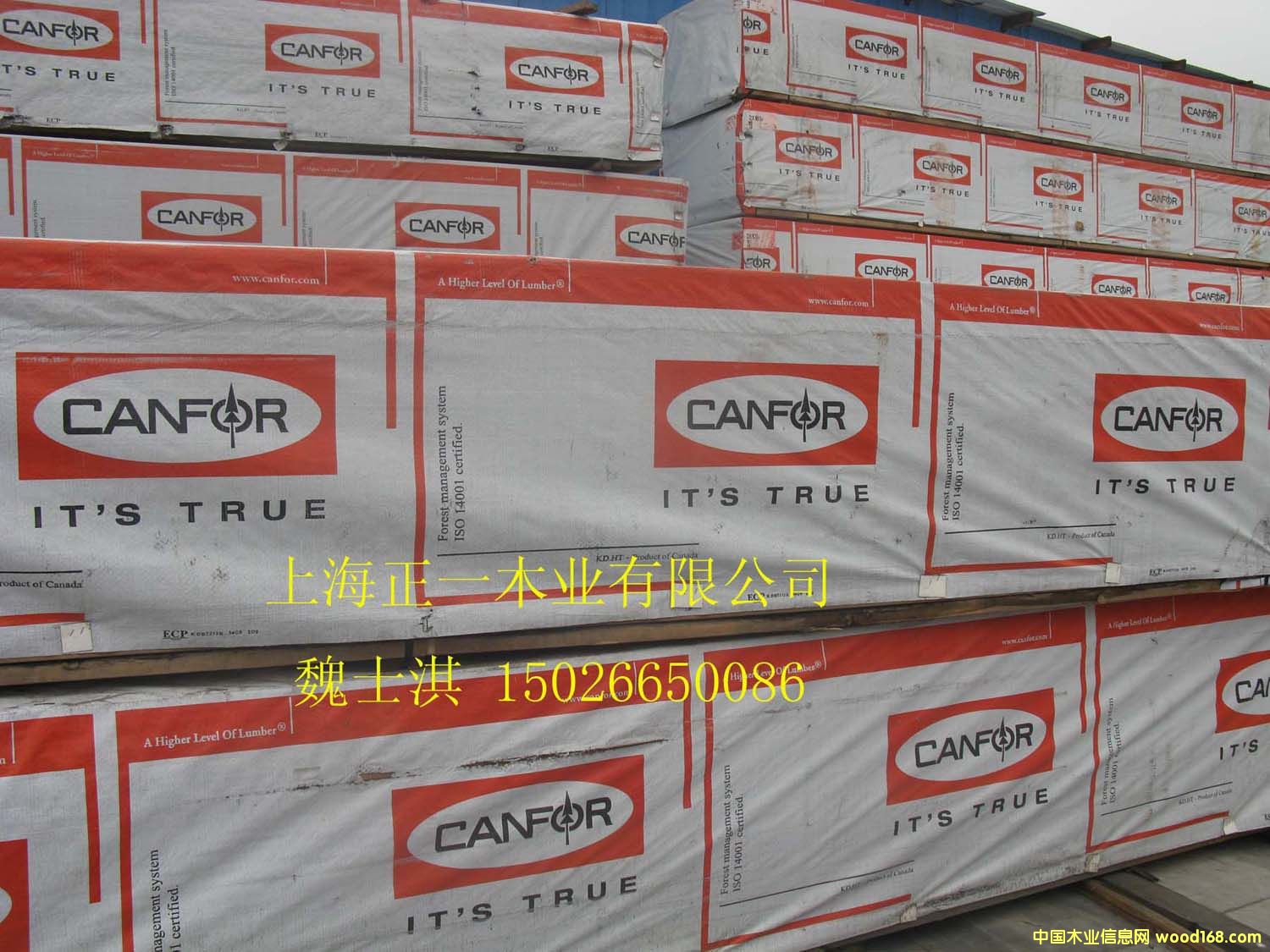 ����spf���