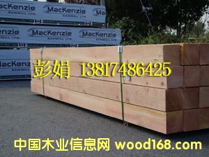 �����ɰ��